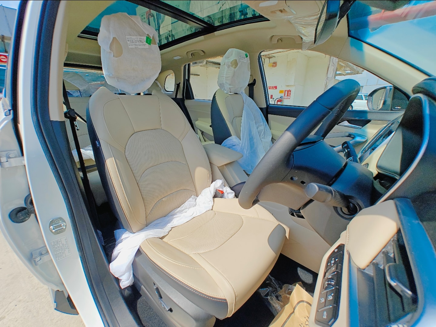 Hector image 14 Hector image 14