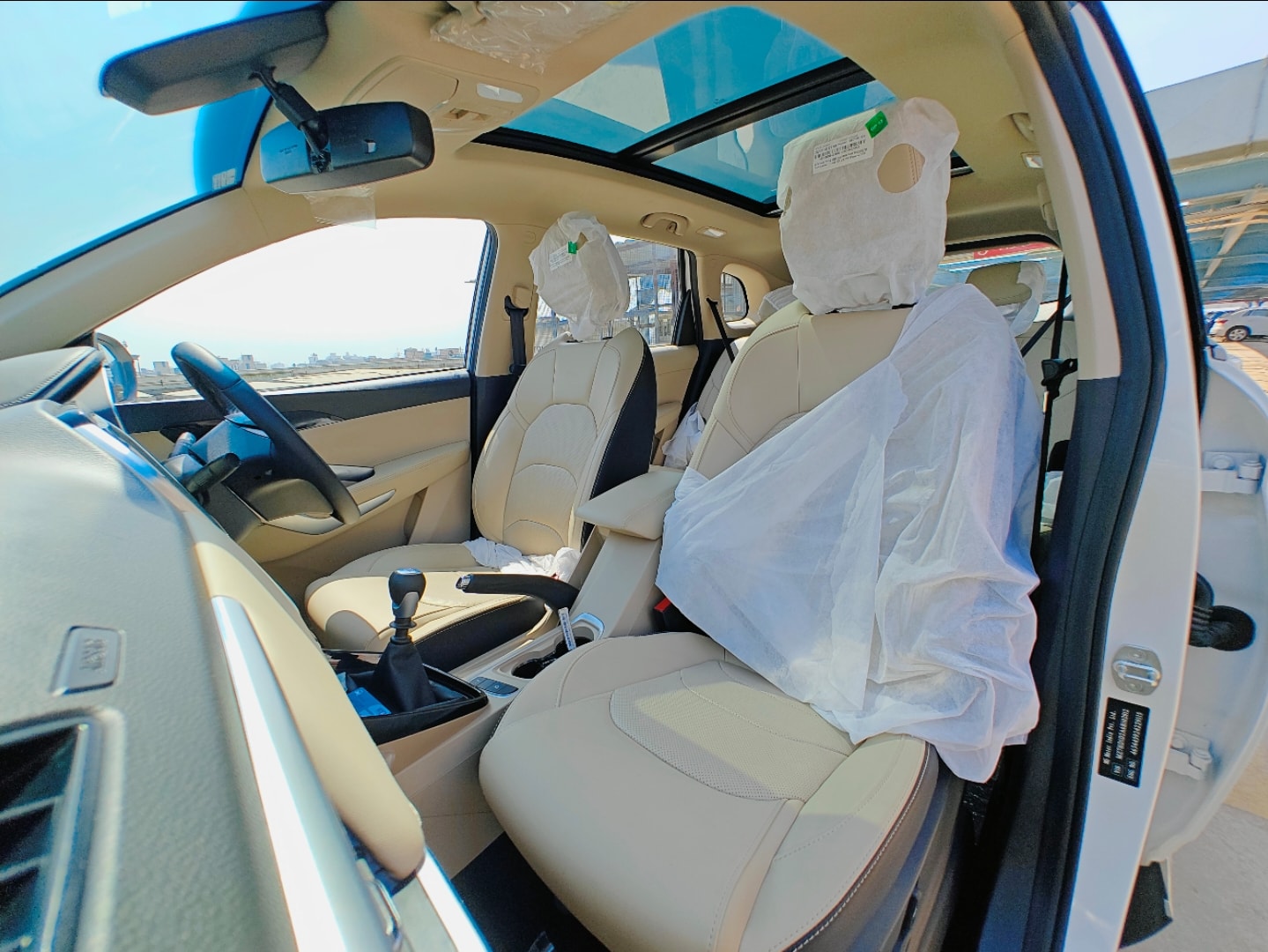 Hector image 12 Hector image 12