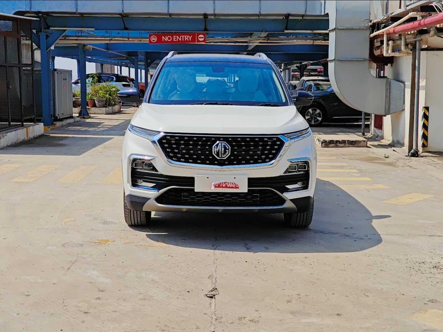 Hector image 8 Hector image 8