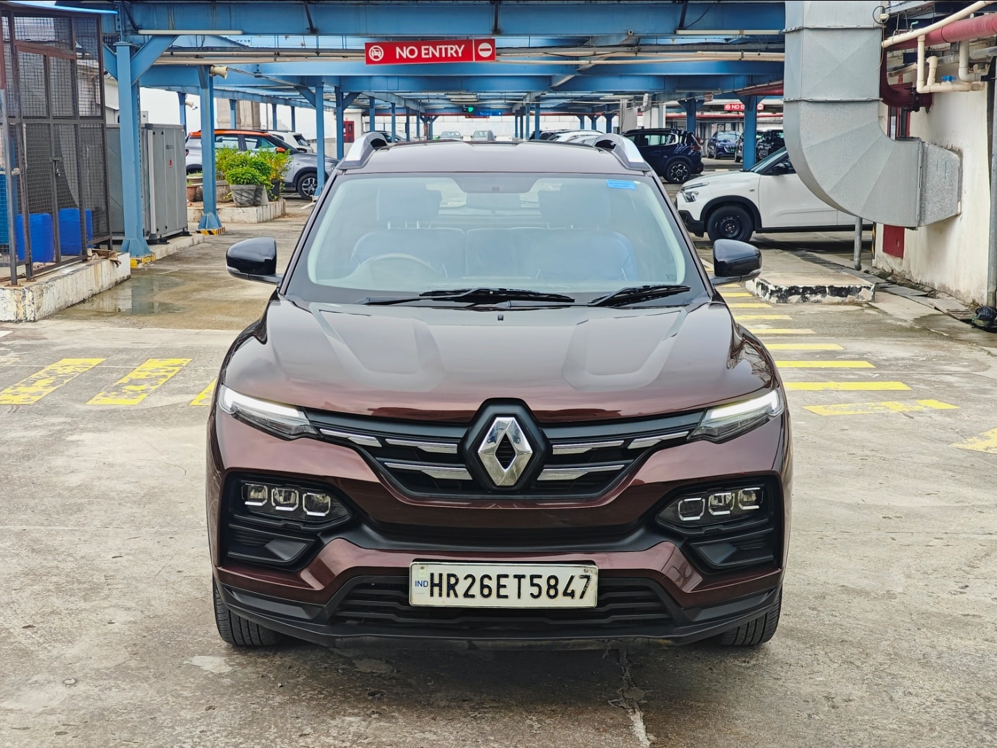 Kiger image 1 Kiger image 1