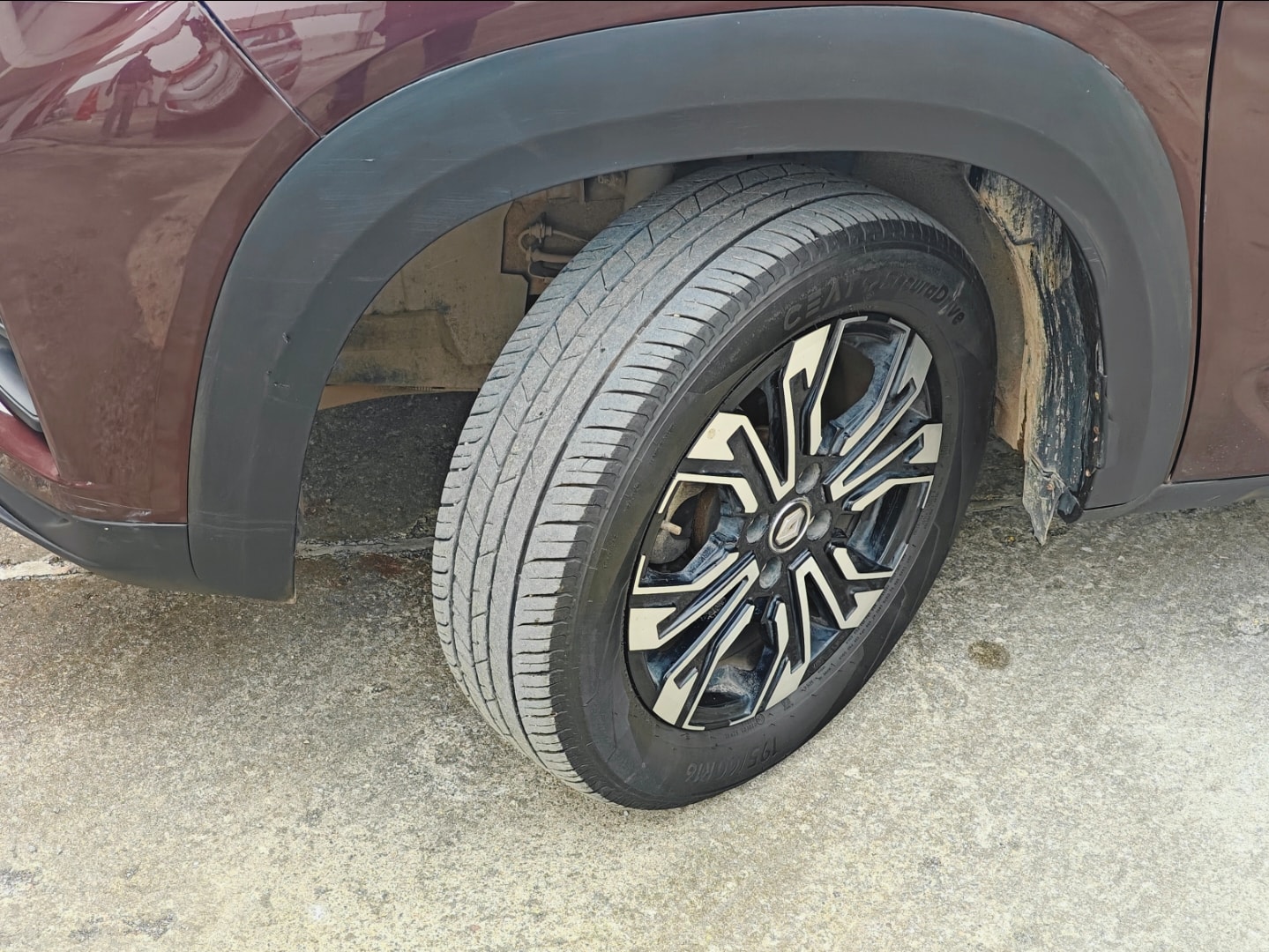 Kiger image 9 Kiger image 9