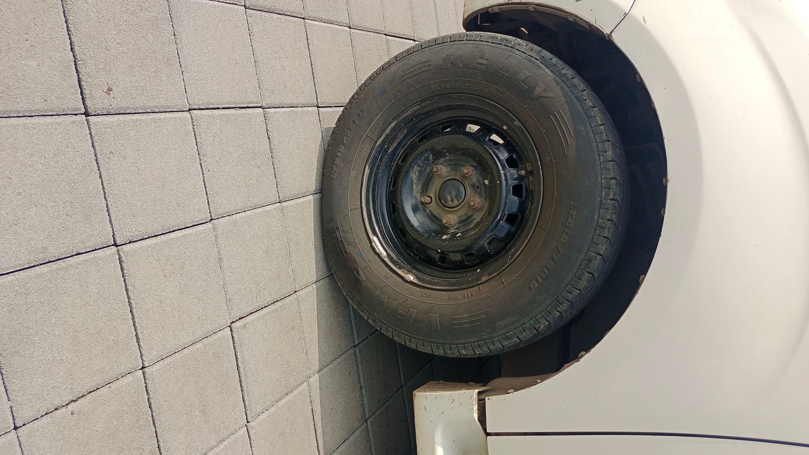 Xylo image 10 Xylo image 10