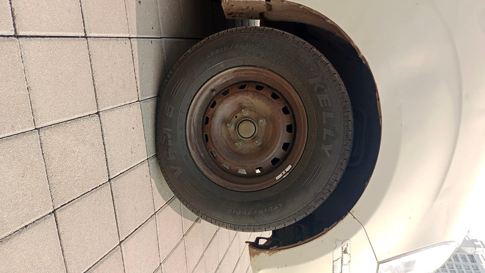 Xylo image 9 Xylo image 9