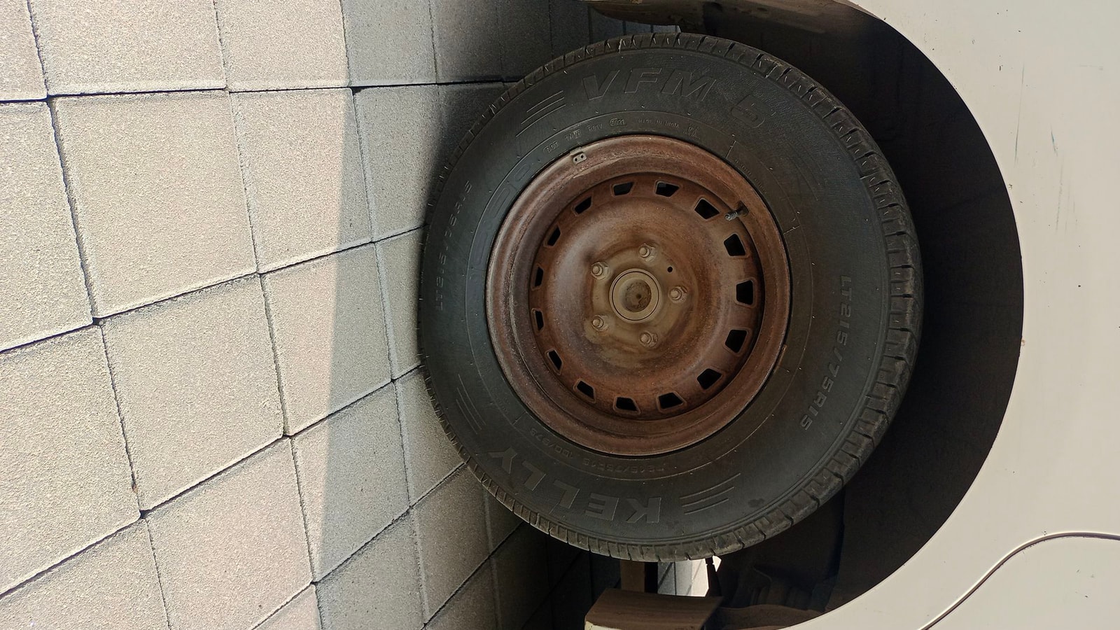 Xylo image 11 Xylo image 11