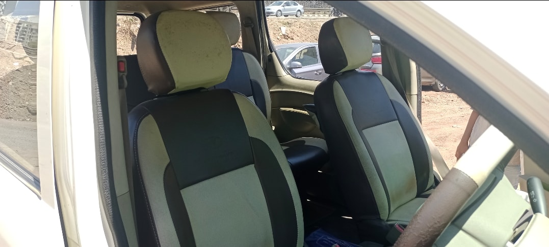 Xylo image 13 Xylo image 13