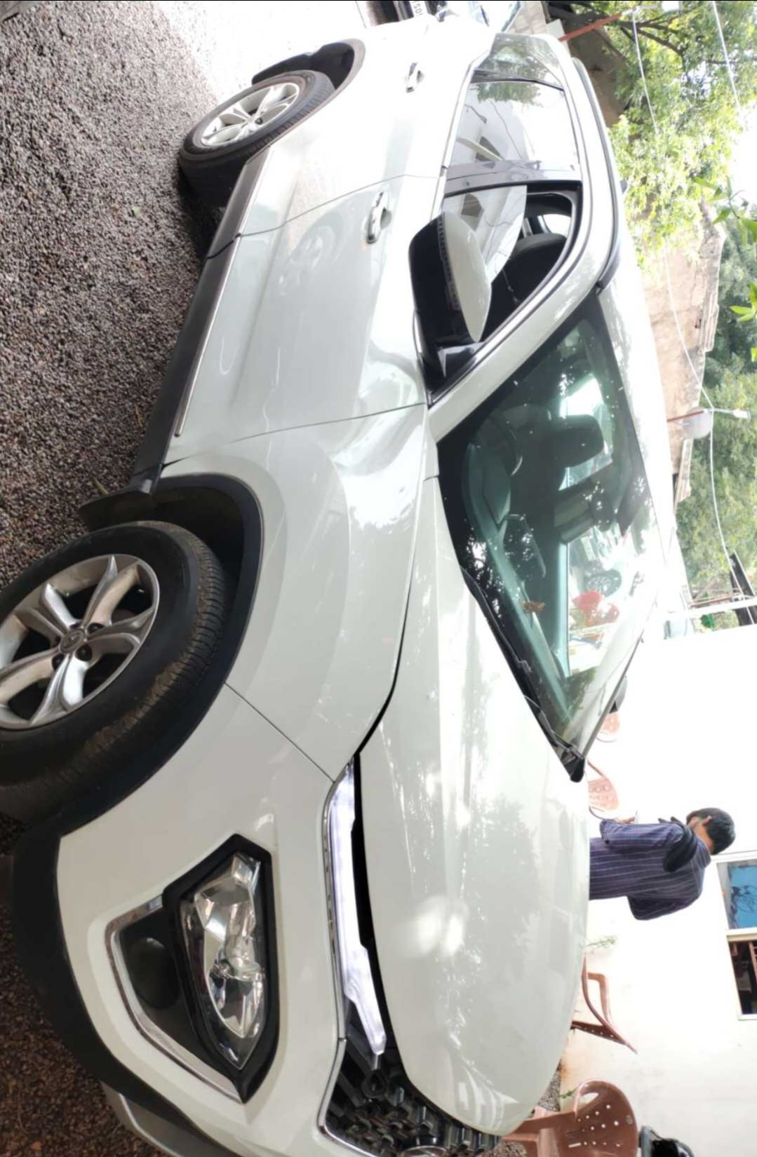 Harrier image 1 Harrier image 1