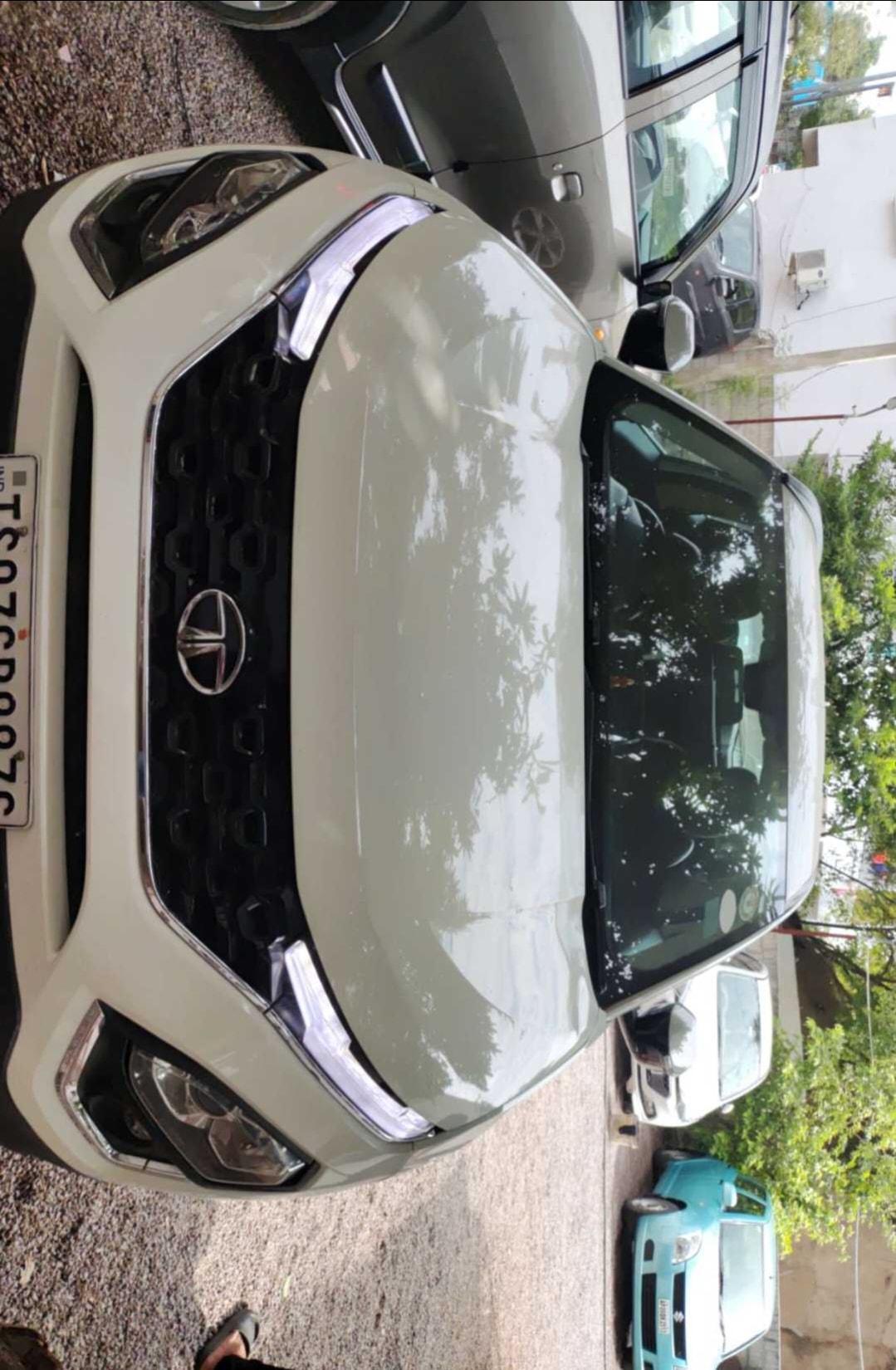 Harrier image 3 Harrier image 3