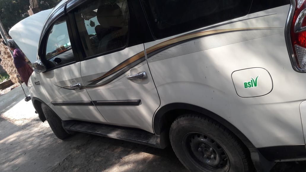 Xylo image 3 Xylo image 3