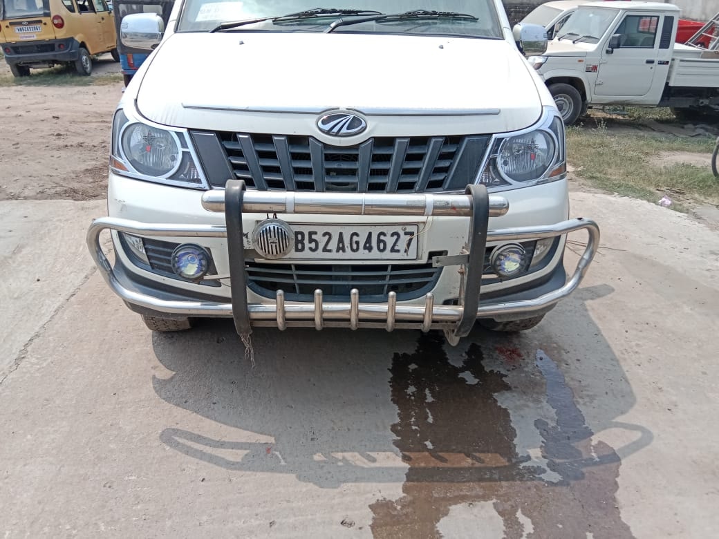 Xylo image 5 Xylo image 5