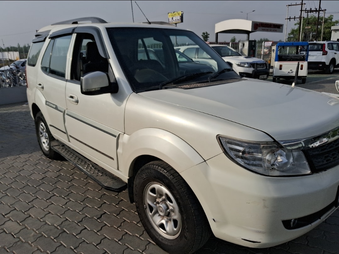 Safari Storme image 7 Safari Storme image 7