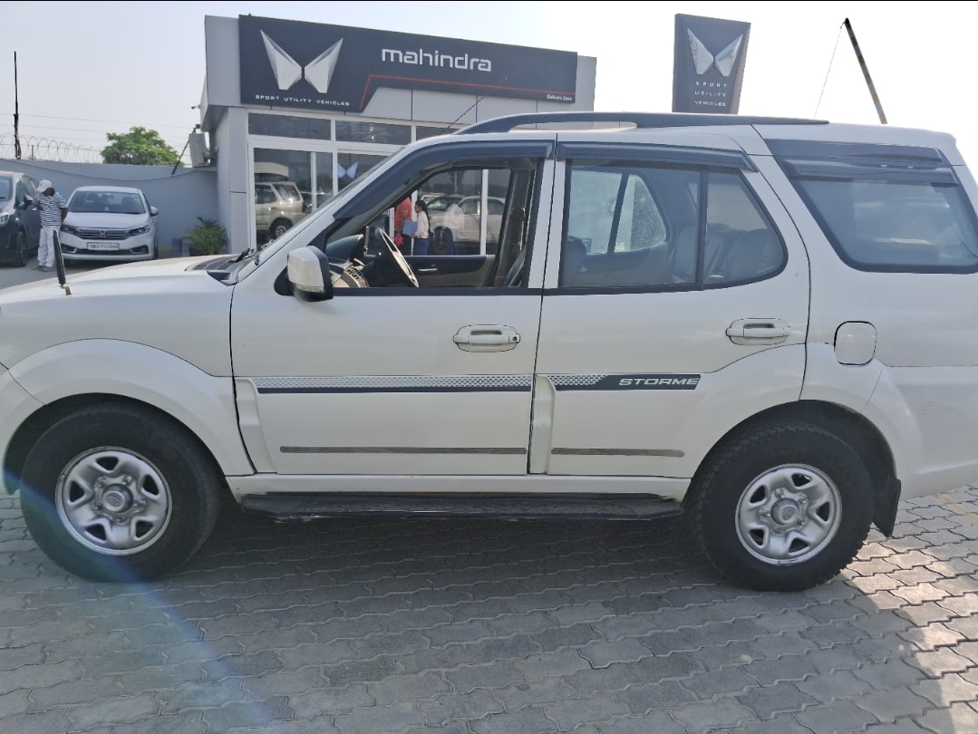 Safari Storme image 2 Safari Storme image 2