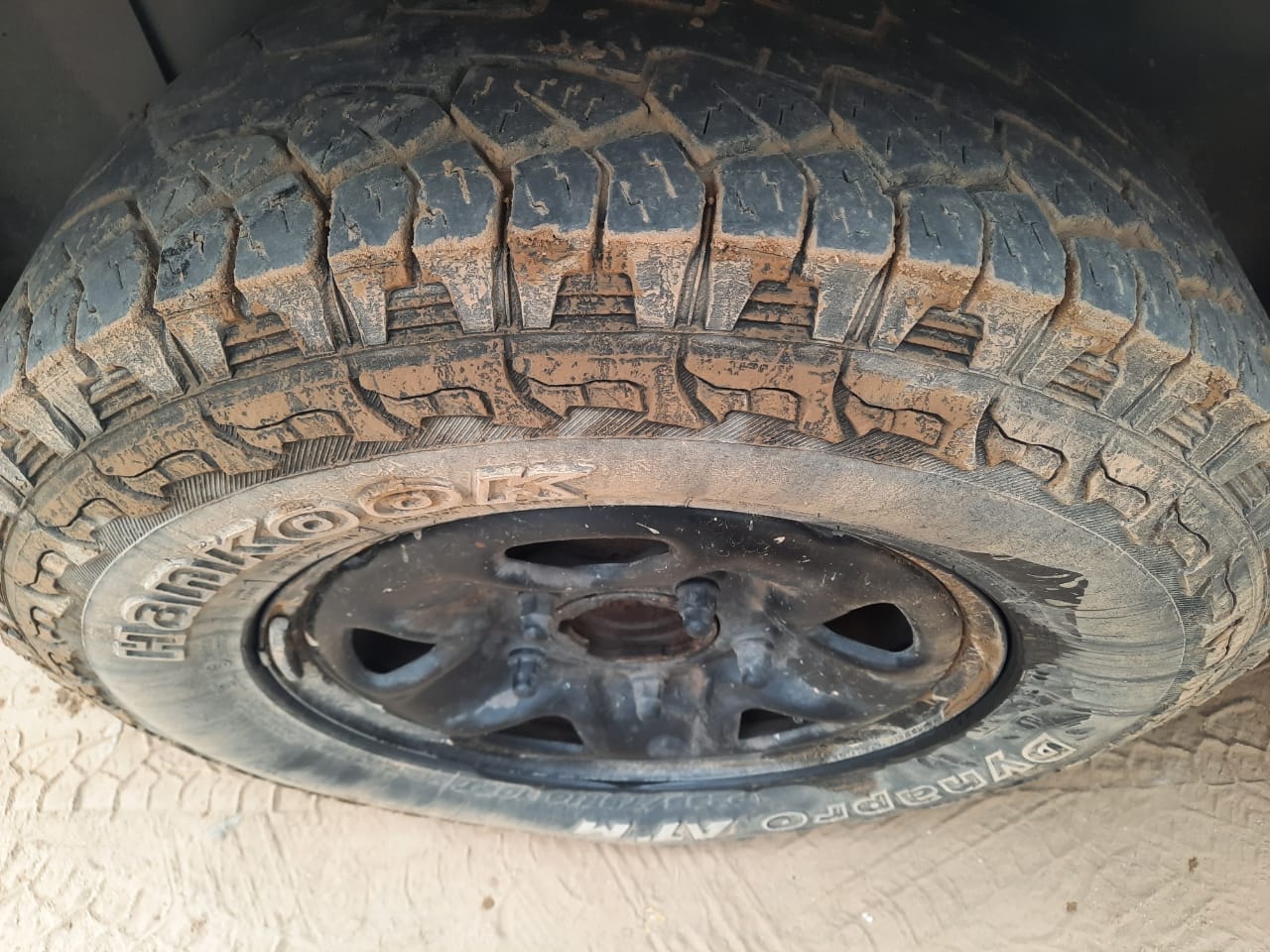 Sumo Grande MK II image 8 Sumo Grande MK II image 8