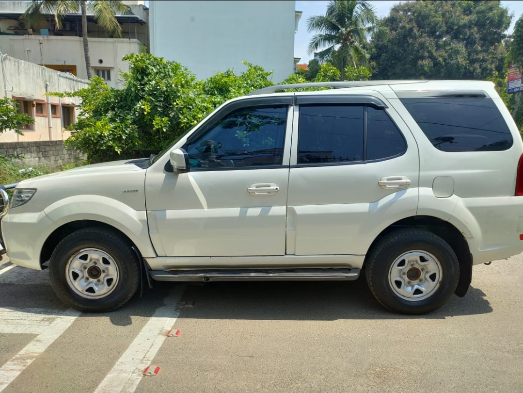 Safari Storme image 7 Safari Storme image 7