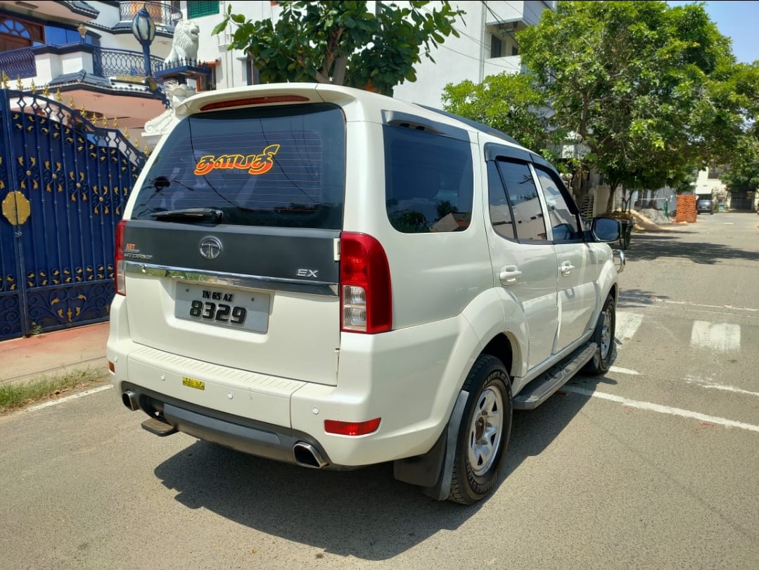 Safari Storme image 10 Safari Storme image 10