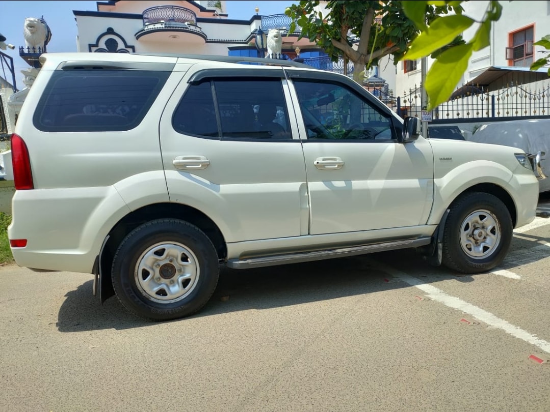 Safari Storme image 12 Safari Storme image 12