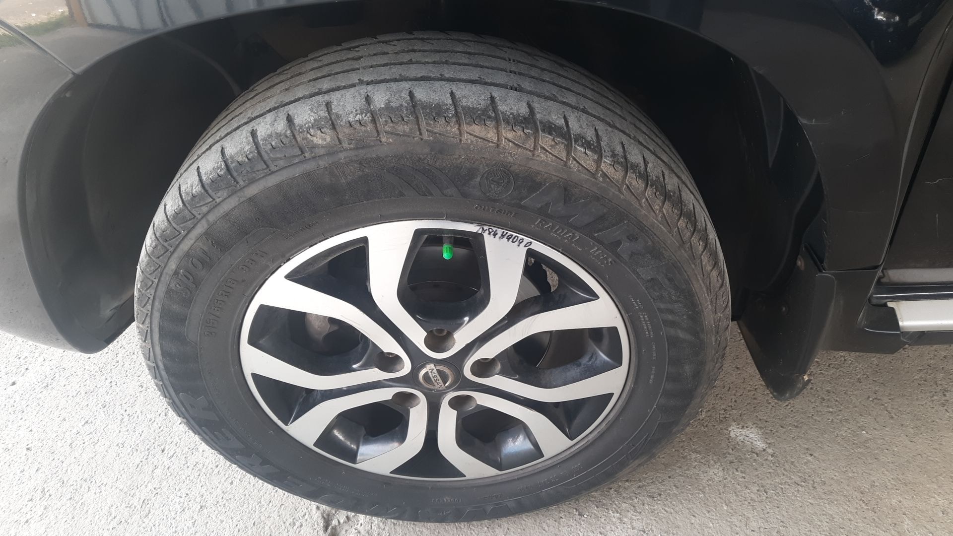 Terrano image 12 Terrano image 12