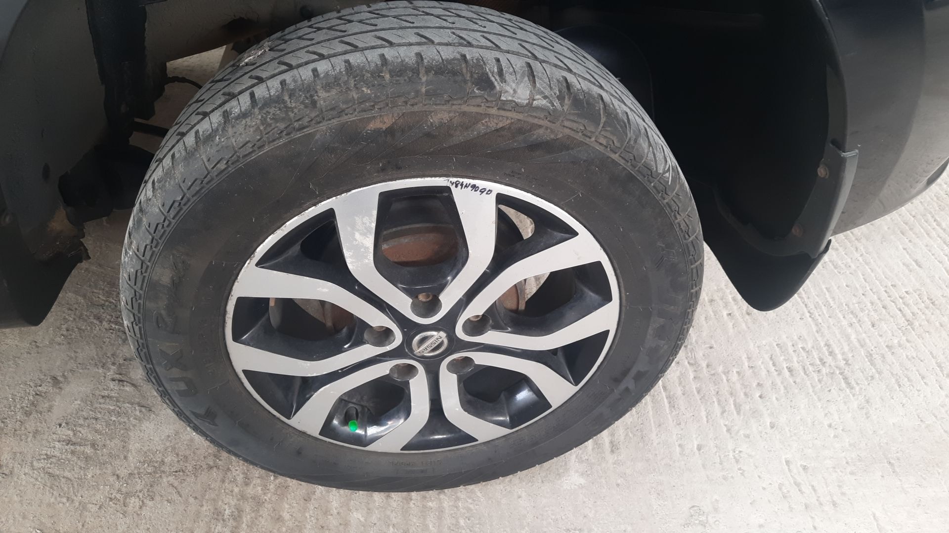 Terrano image 5 Terrano image 5