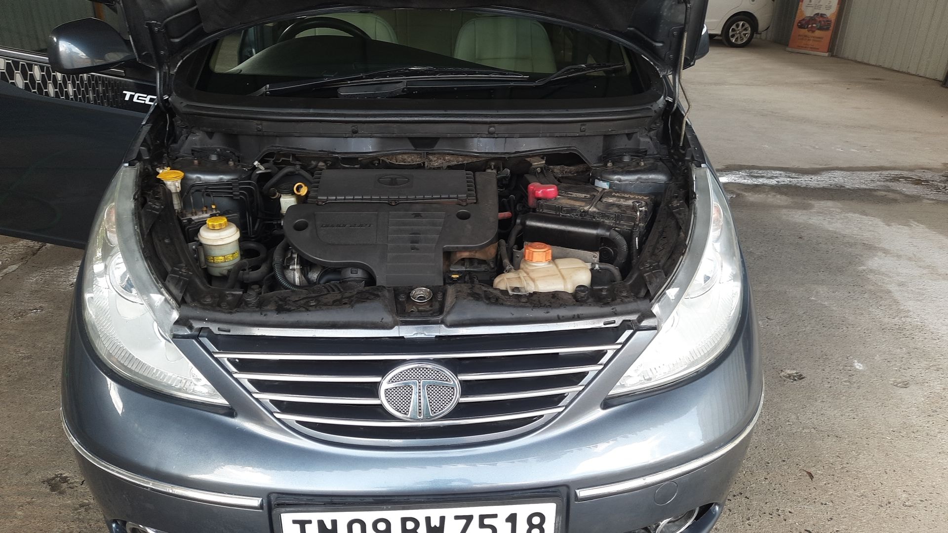 Indica Vista image 14 Indica Vista image 14