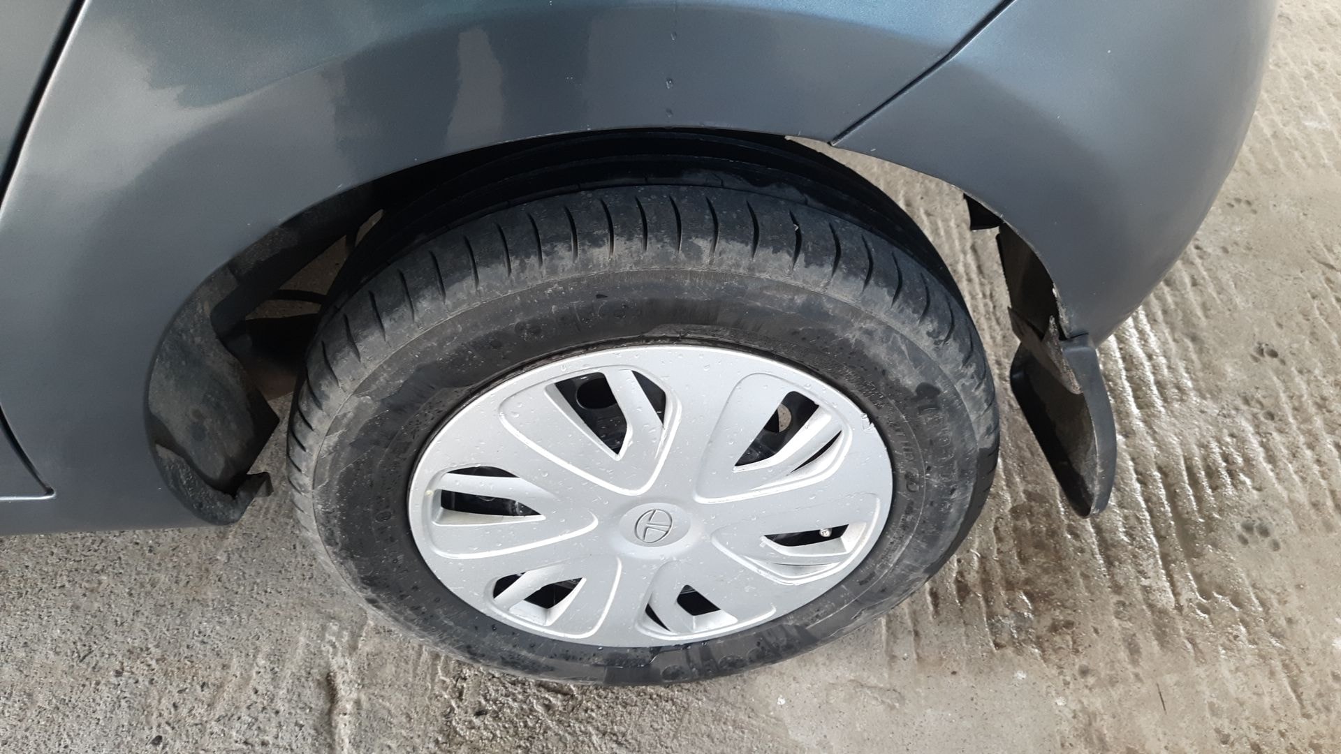 Indica Vista image 5 Indica Vista image 5