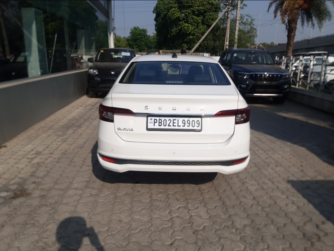 Slavia image 4 Slavia image 4