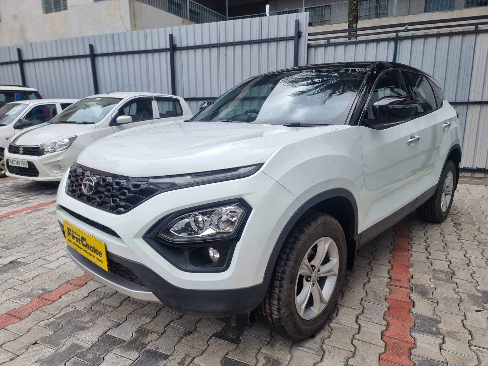 Harrier image 1 Harrier image 1