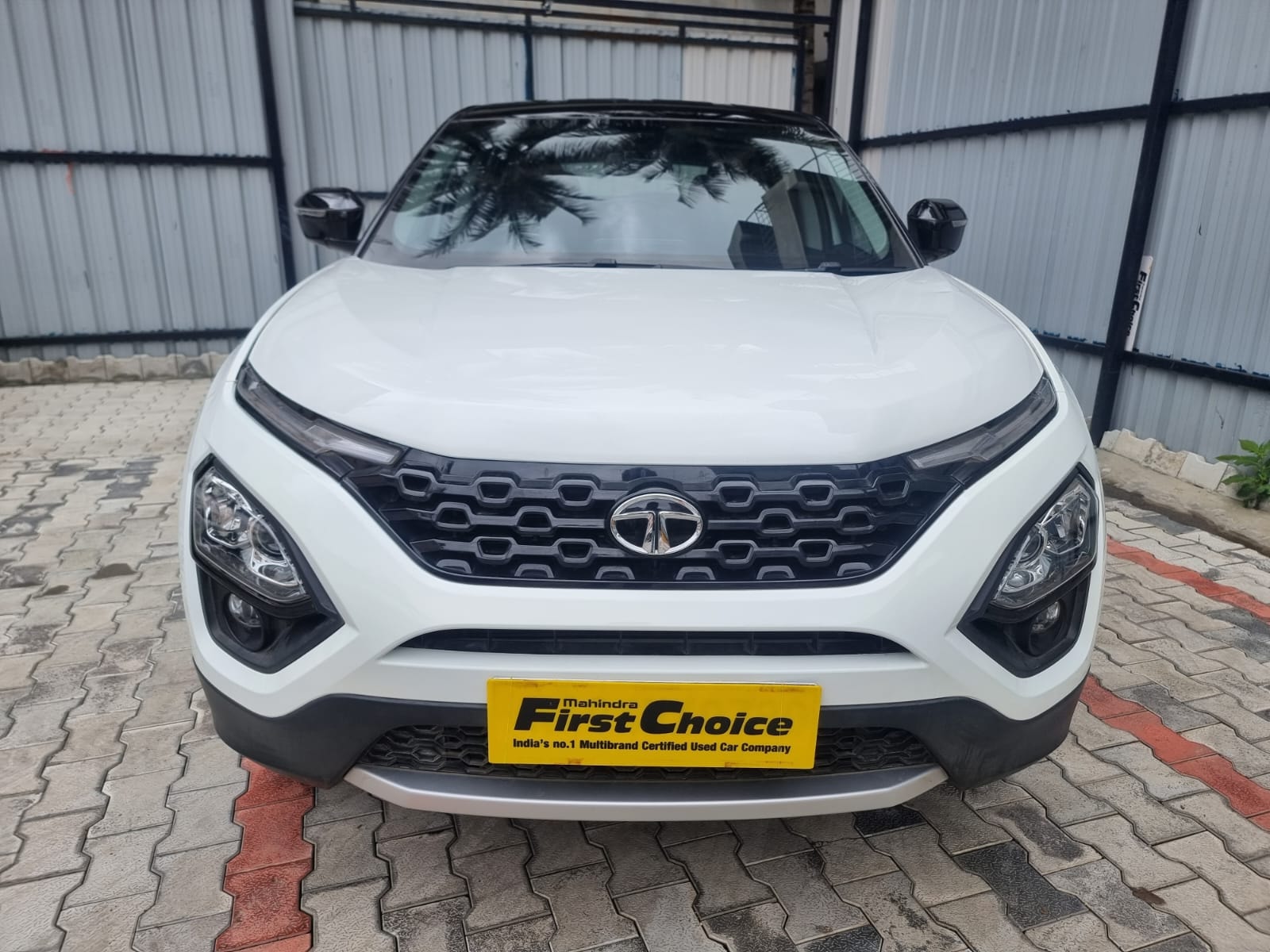 Harrier image 3 Harrier image 3