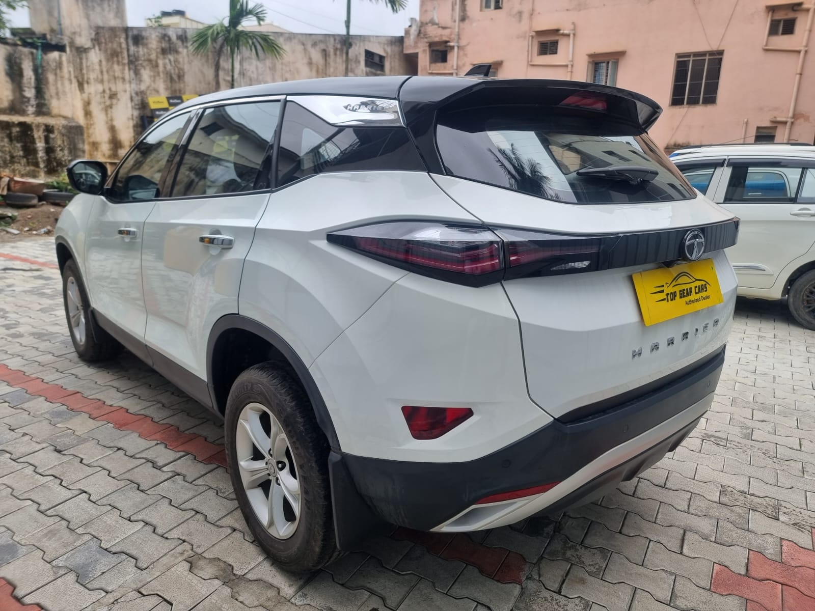 Harrier image 5 Harrier image 5