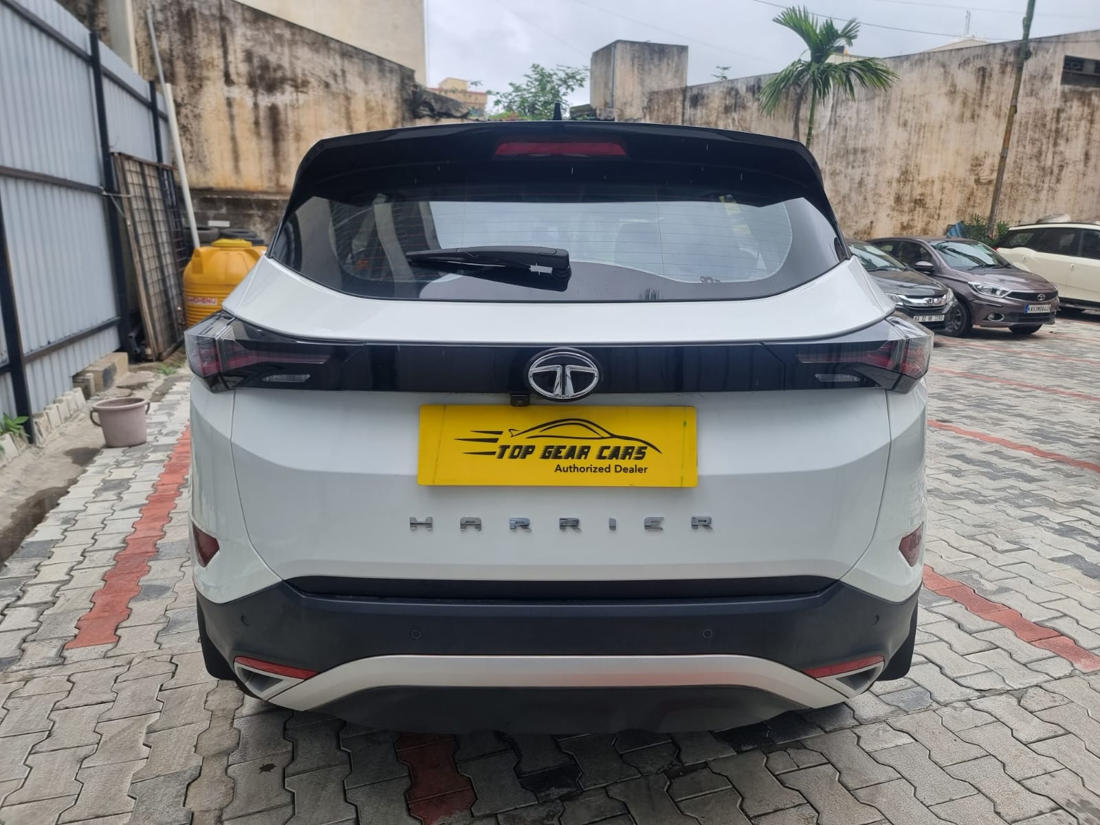 Harrier image 7 Harrier image 7