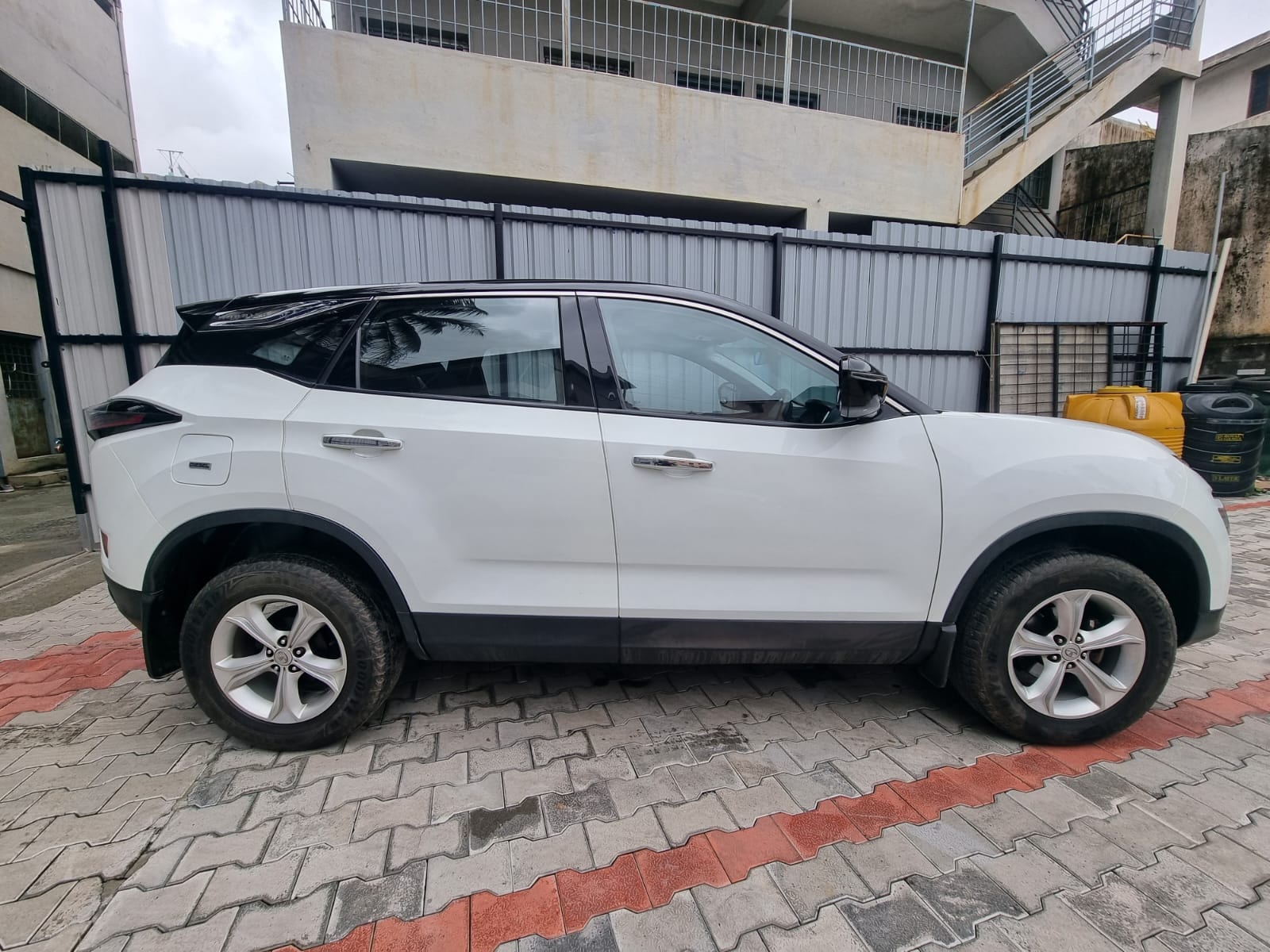 Harrier image 8 Harrier image 8