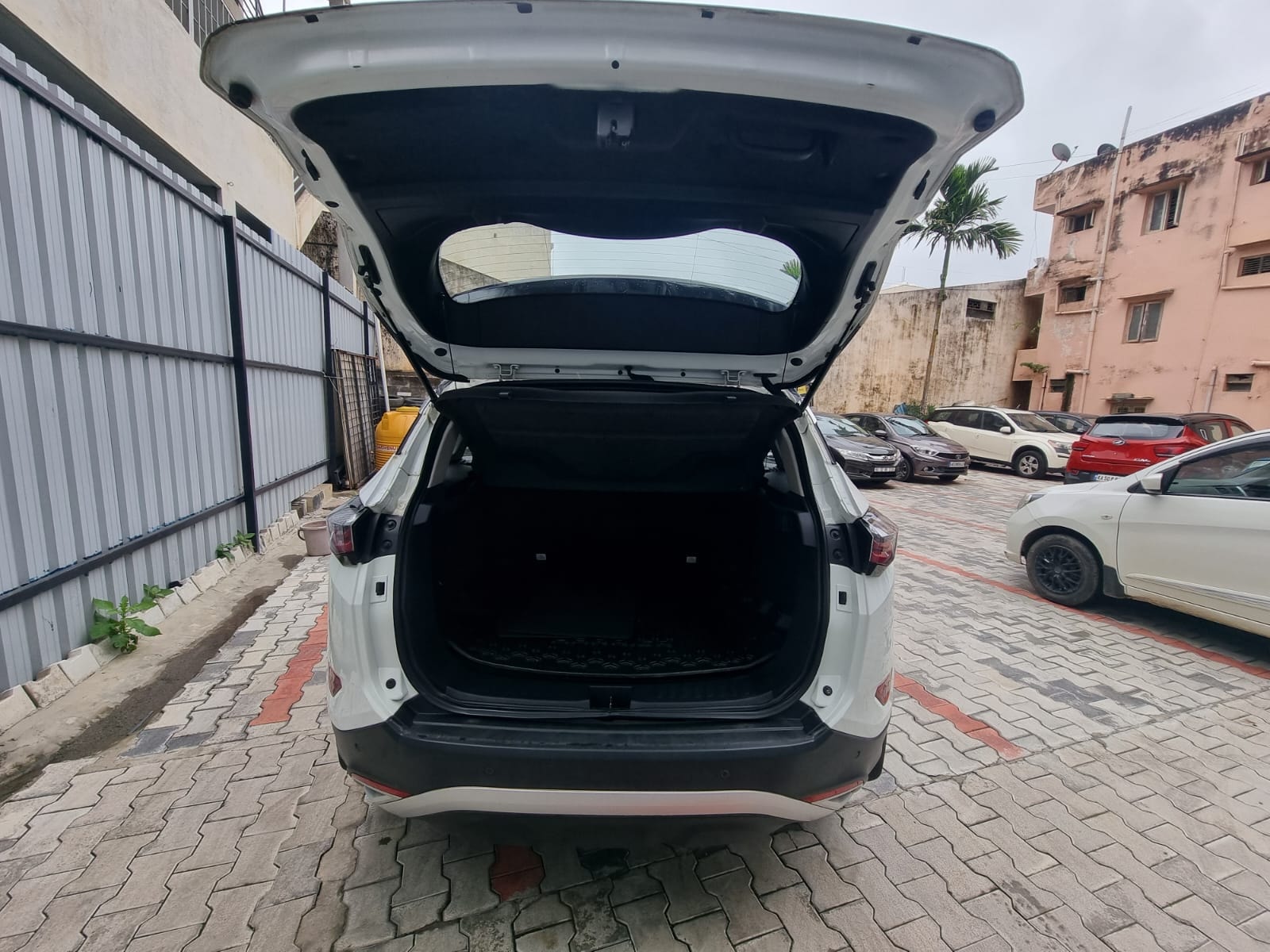 Harrier image 9 Harrier image 9