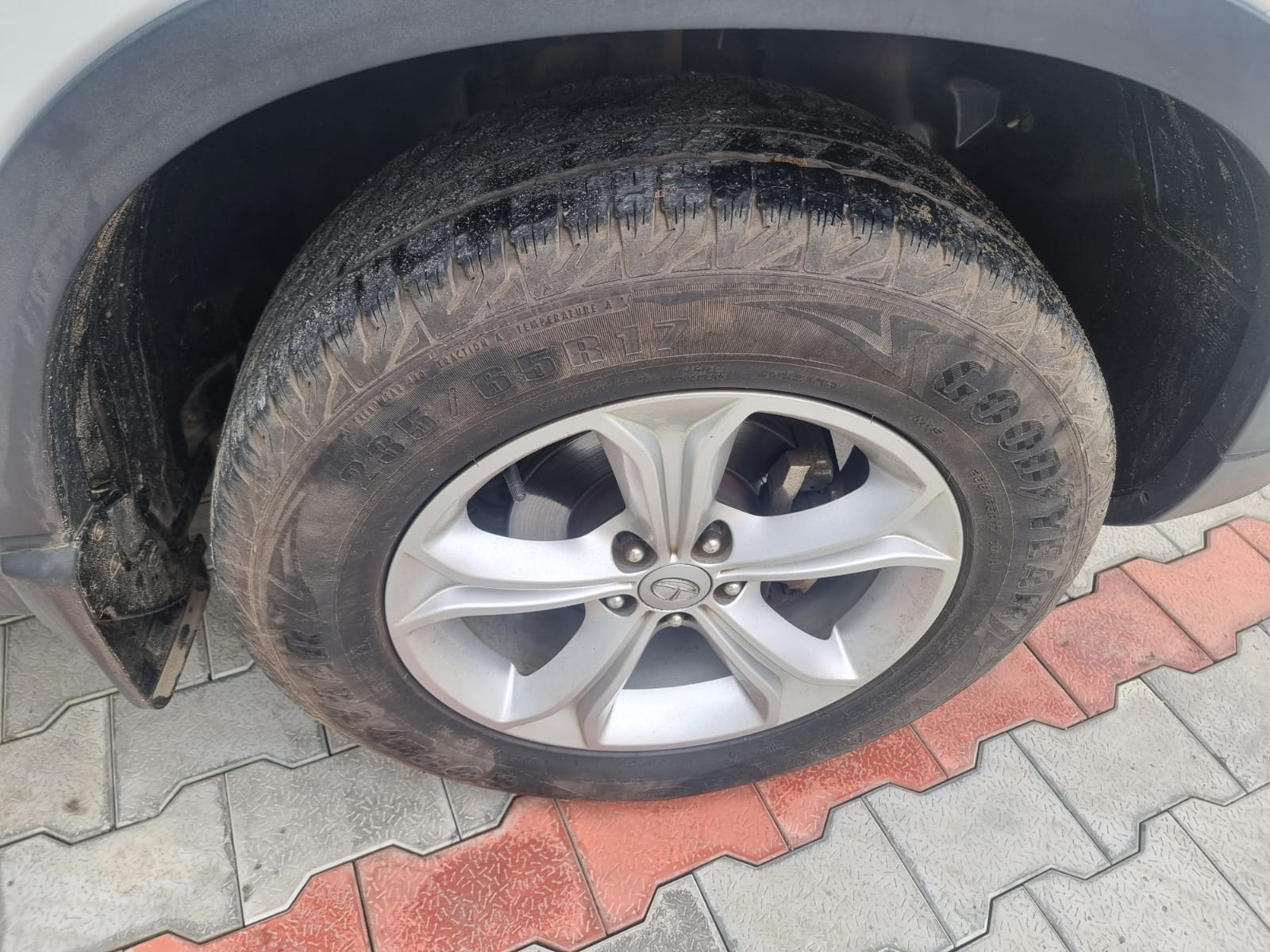 Harrier image 10 Harrier image 10