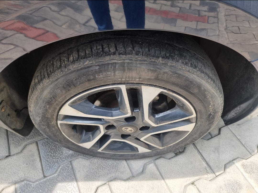 Tigor image 9 Tigor image 9