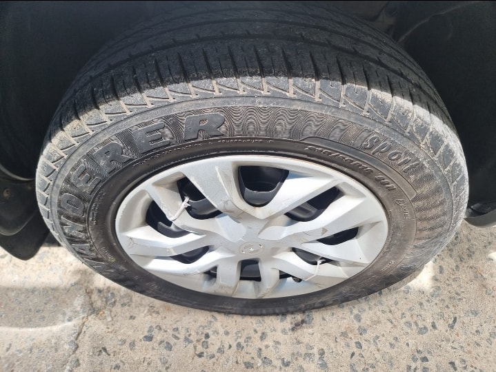 Terrano image 9 Terrano image 9