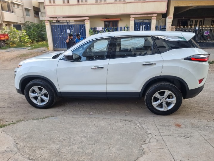 Harrier image 2 Harrier image 2