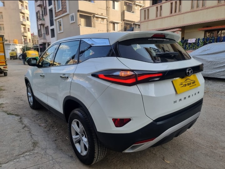 Harrier image 3 Harrier image 3