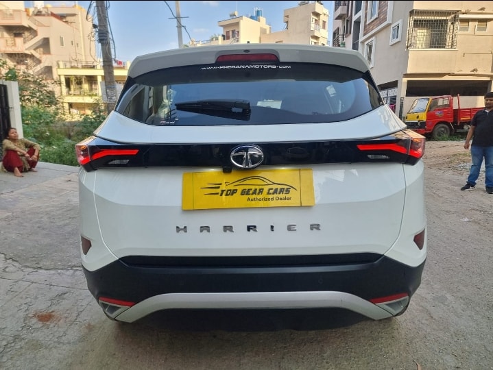 Harrier image 4 Harrier image 4