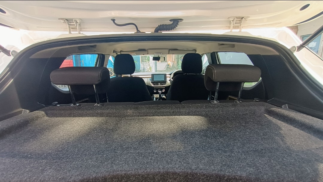 Kiger image 14 Kiger image 14