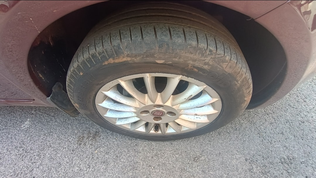 Linea image 9 Linea image 9