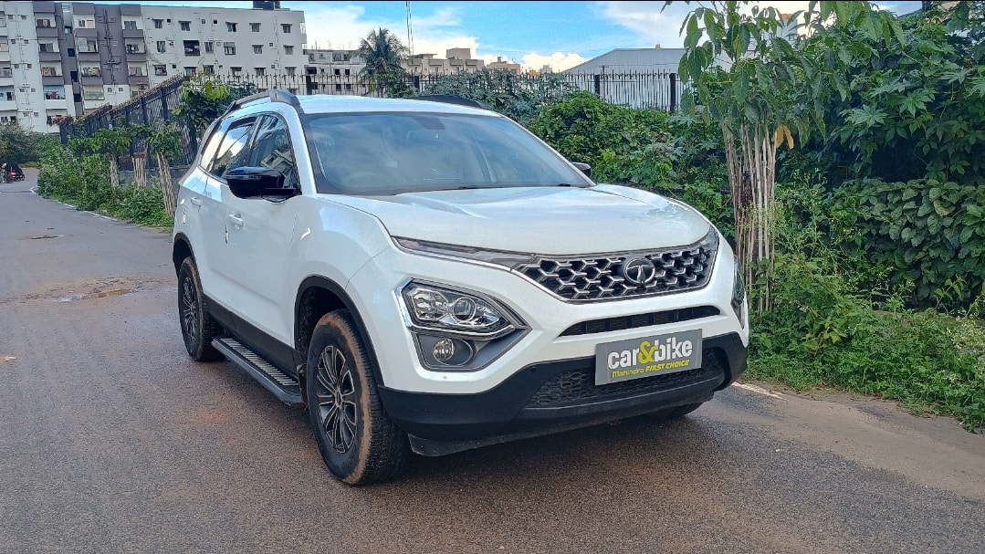 Safari image 7 Safari image 7