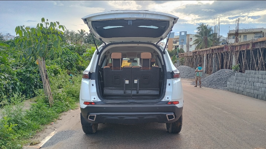 Safari image 10 Safari image 10