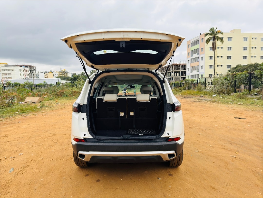 Safari image 10 Safari image 10