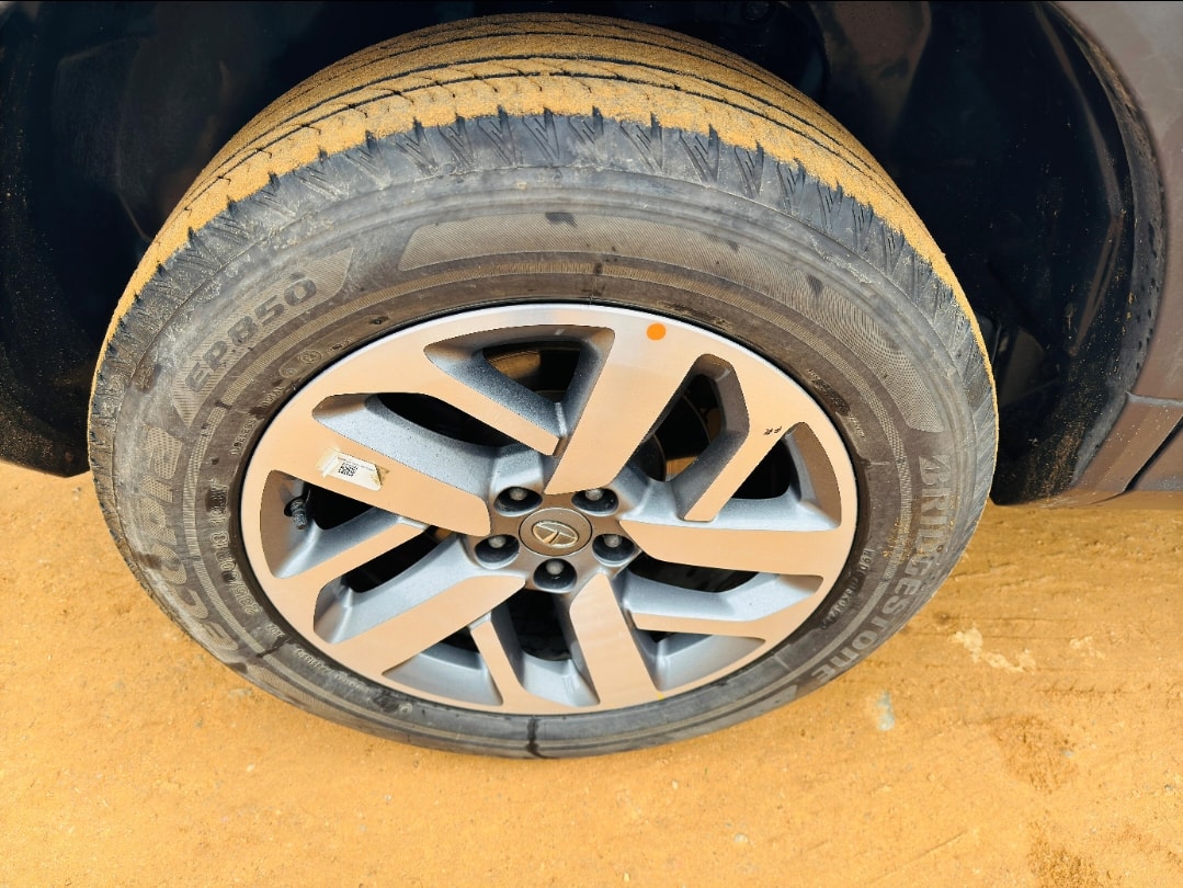 Safari image 9 Safari image 9