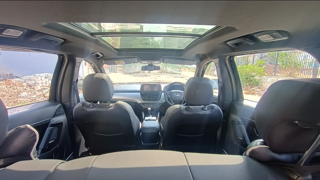 Harrier image 15 Harrier image 15