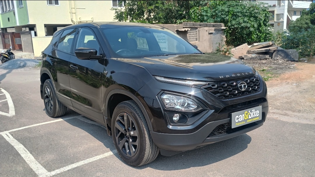 Harrier image 7 Harrier image 7