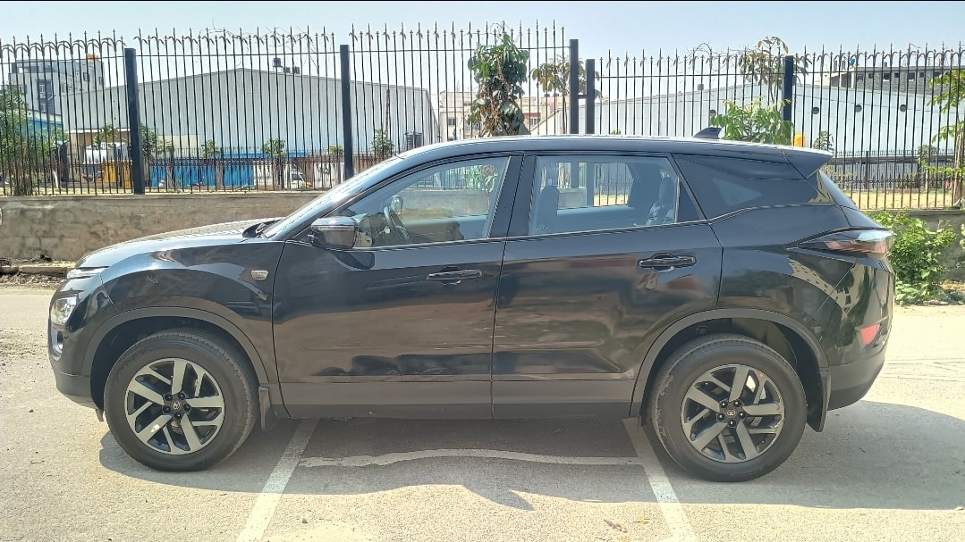 Harrier image 2 Harrier image 2