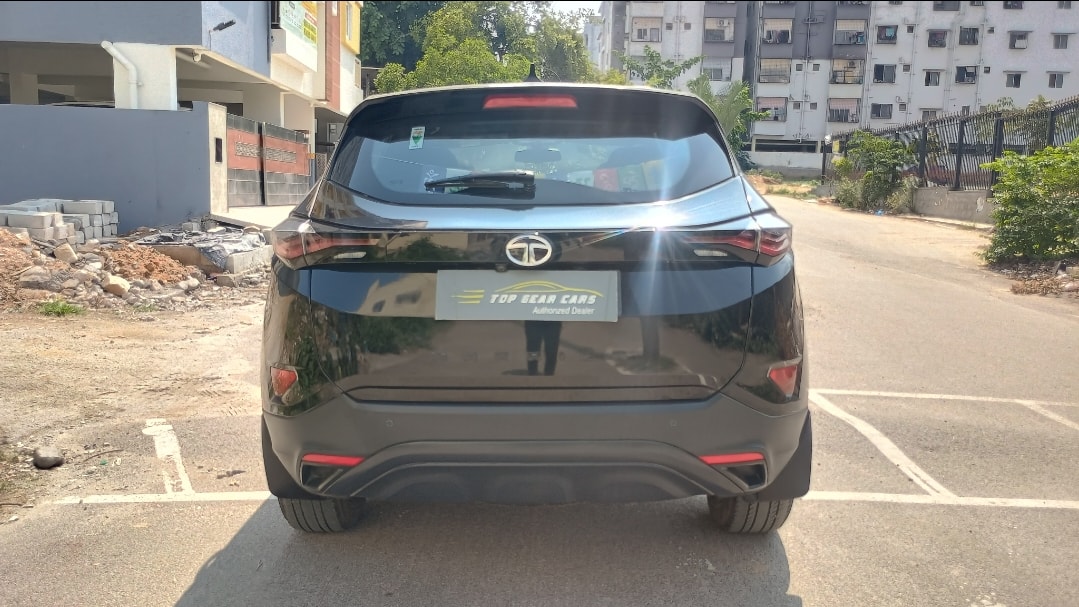 Harrier image 4 Harrier image 4