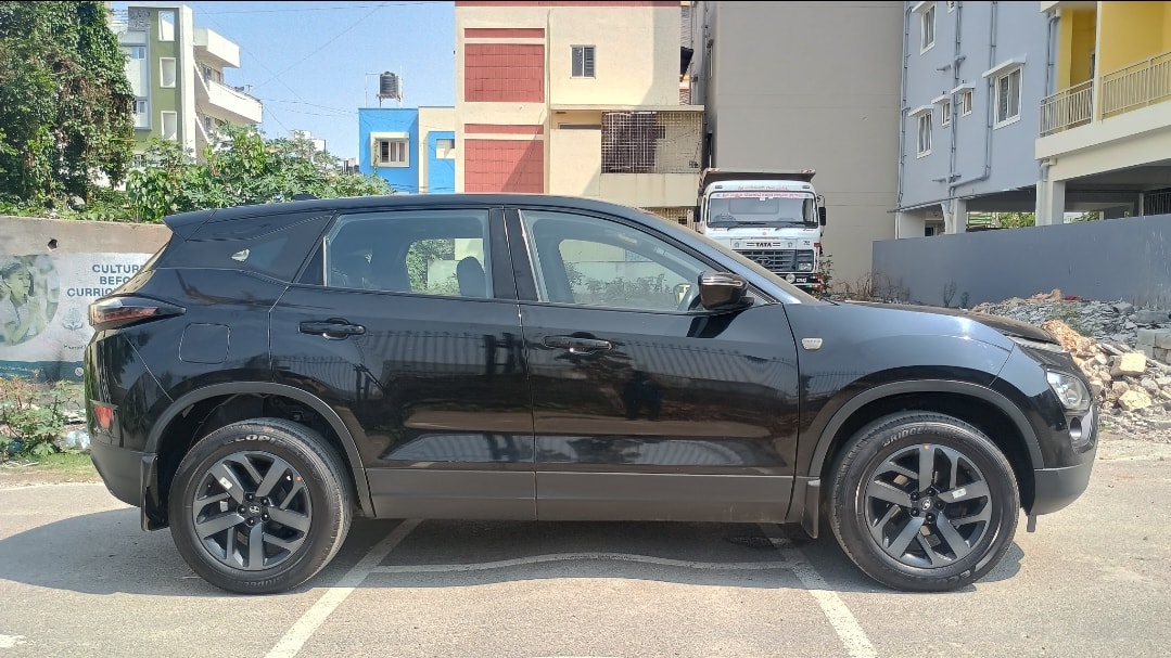 Harrier image 6 Harrier image 6