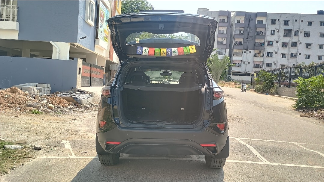 Harrier image 10 Harrier image 10