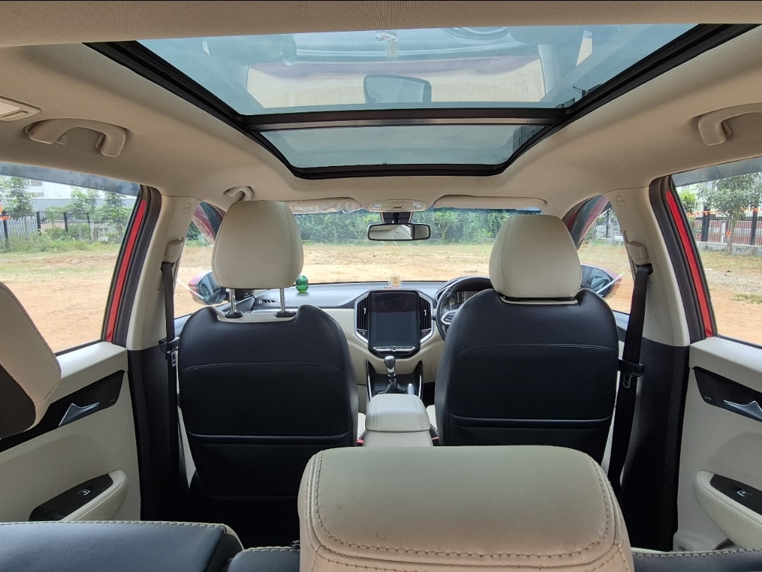 Hector image 16 Hector image 16