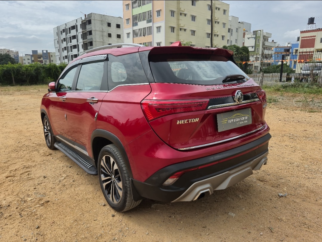 Hector image 3 Hector image 3